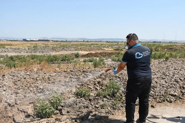 Balıkesir'de 20 İlçede Dört Mevsim Aralıksız Haşere Mücadelesi Sürüyor
