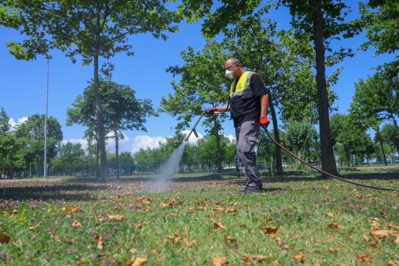 Samsun'da Sivrisineklere Karşı Kapsamlı Mücadele Devam Ediyor