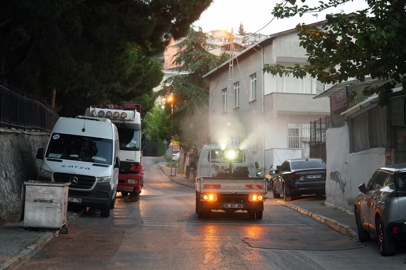 Maltepe'de Yaz Boyunca Sürecek Kapsamlı Haşere İlaçlama Çalışmaları Devam Ediyor