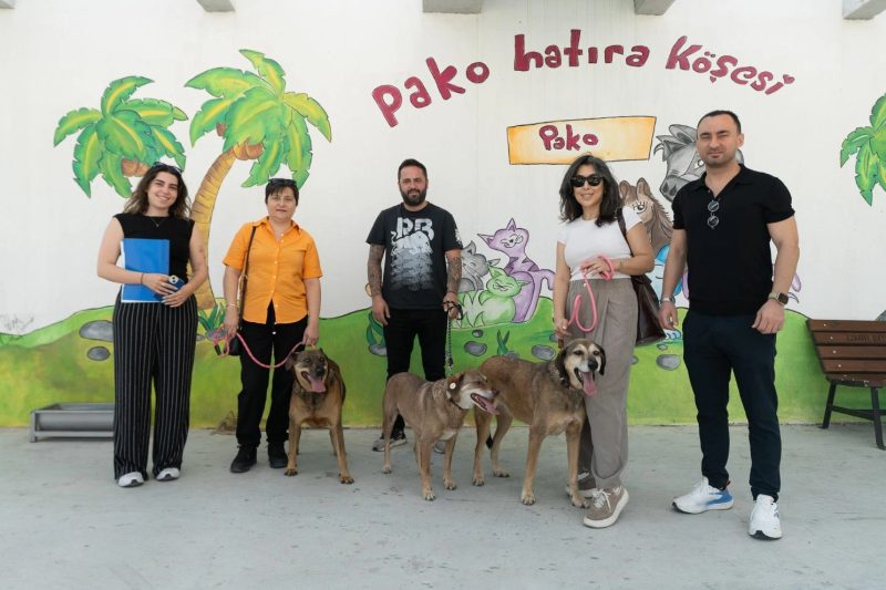 İzmir'de Sahipsiz Köpekler "Patili Dostlar İş Başında" Projesiyle Yuvalarına Kavuştu
