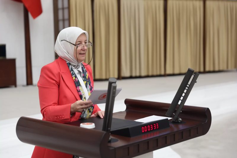 Emine Yavuz Gözgeç: 2026'da 440 Bin Kadın Çiftçi Destek Aldı