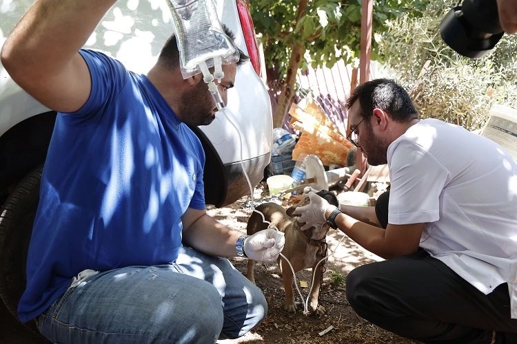 Antalya Büyükşehir Belediyesi, Kumluca Yangınının Ardından Yaraları Sarmaya Başladı