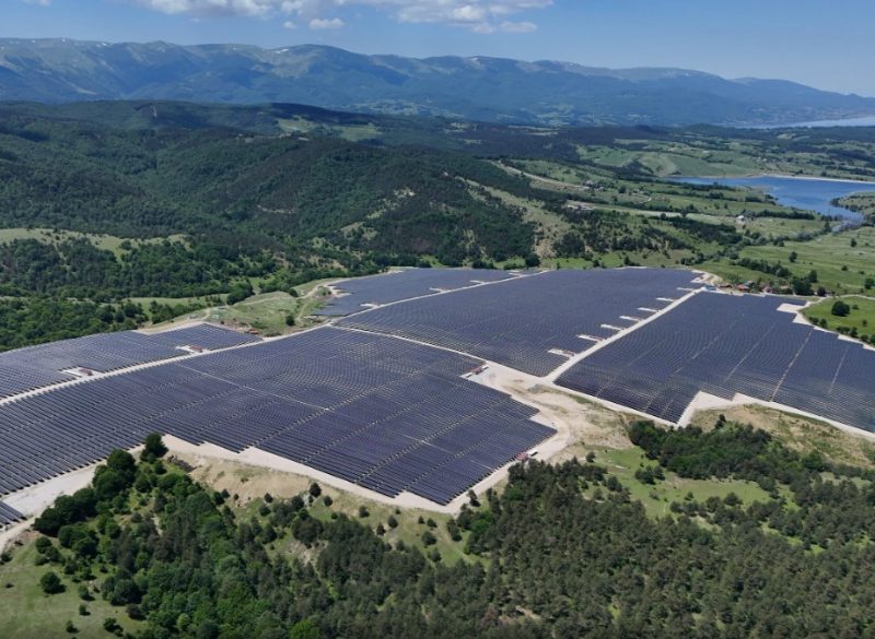 Samsun'da Güneş Enerjisi Santrali Sahasında Tarımsal Hasat Başladı