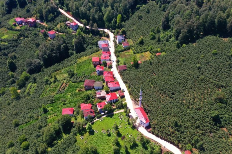 Ordu'da Köy Yollarına Beton Desteği Devam Ediyor