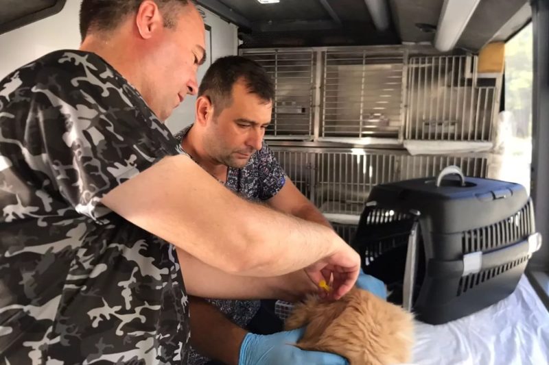 Balıkesir'de 'Can Dost' Mobil Bakım Aracı 19 Ekim'de Savaştepe'de Hizmet Verecek