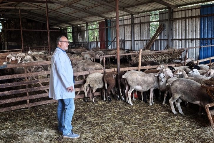 Kocaeli'de Hayvancılığa Kapsamlı Destek: Hibe ve Teknik Rehberlik Bir Arada