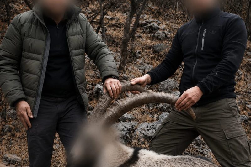 Siirt'te 6 Yıl Önce Öldürülen 5 Yaban Keçisinin Failleri Bulundu, Ceza Kesildi