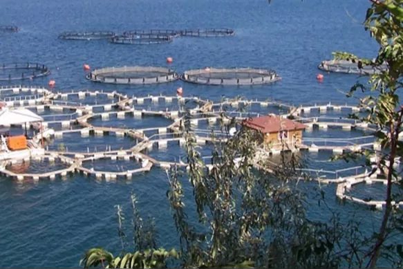 IPARD III Programı Kapsamında 95 Projeye 1,2 Milyar Lira Hibe