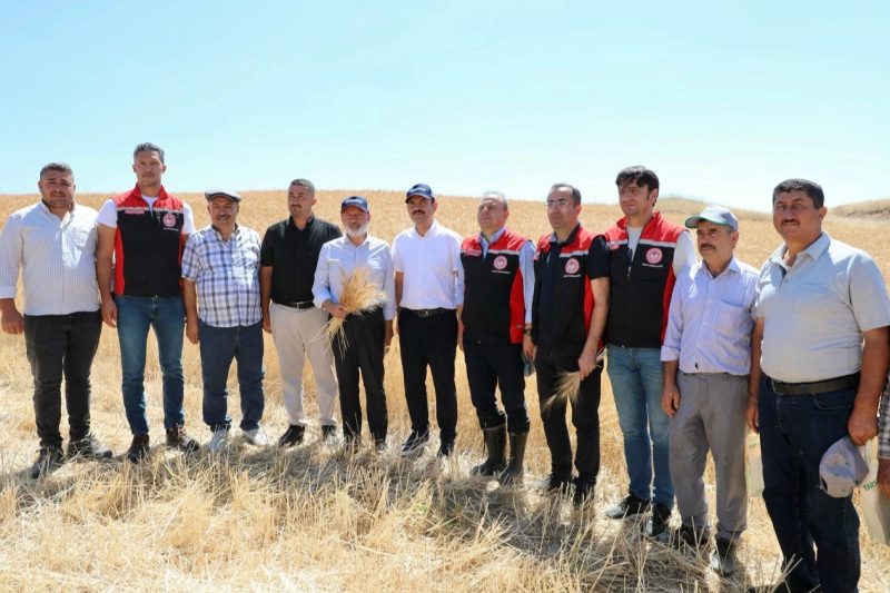 Kocasinan'da Çiftçilerle Buluşma ve Hasat Şenliği