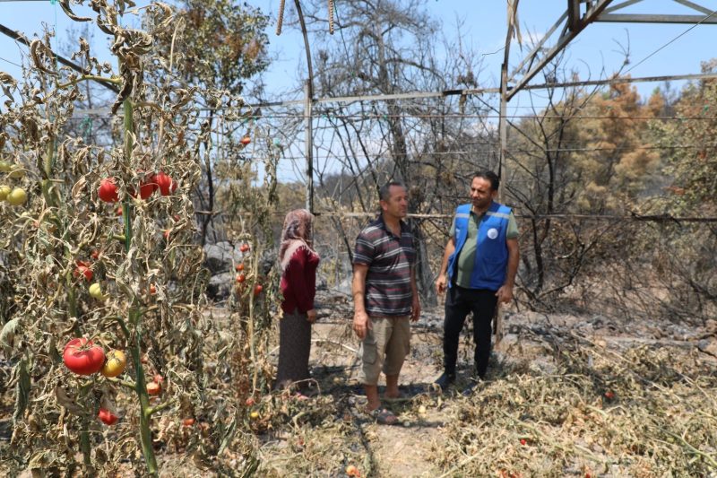Seydikemer'deki Orman Yangını Sonrası Muğla Büyükşehir Belediyesi İyileştirme Çalışmalarına Başladı