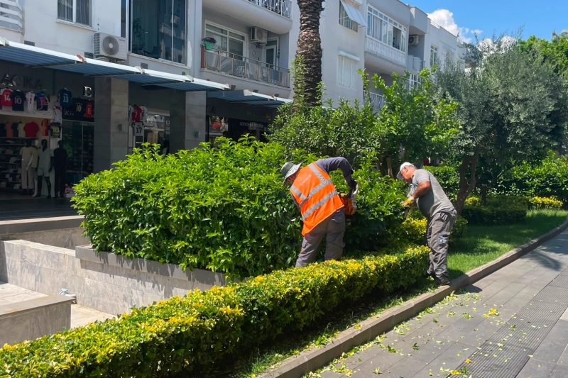 Antalya'dan Kemer'e Estetik Dokunuş: Liman Caddesi'nde Kapsamlı Çevre Düzenlemesi