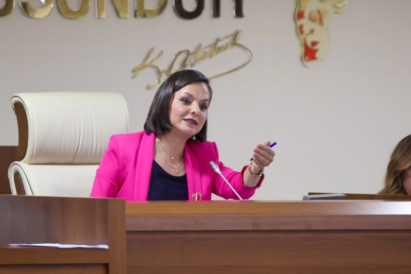 Karabağlar Meclisi'nde Atık Yönetimi ve Afet Hazırlıkları Masaya Yatırıldı