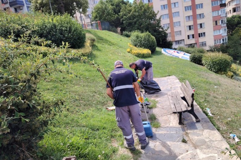 Maltepe'de Temizlik Seferberliği Altıntepe'de Yoğunlaştı
