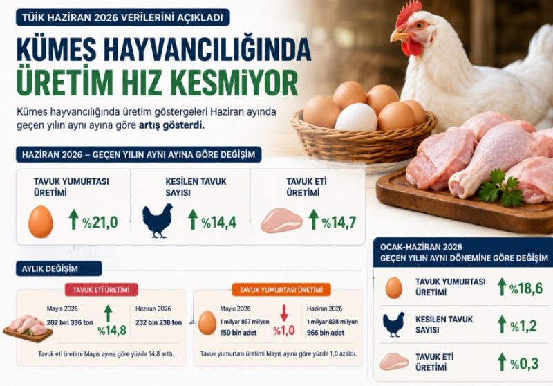 Haziran Ayında Kümes Hayvancılığında Üretim Artışı Devam Etti