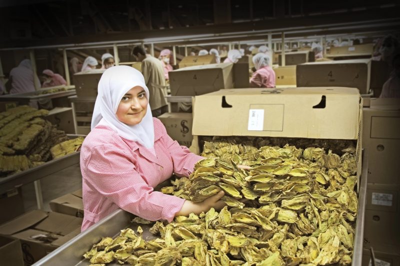 Ege İhracatçı Birlikleri Temmuz Ayında Tarihi Rekor Kırdı