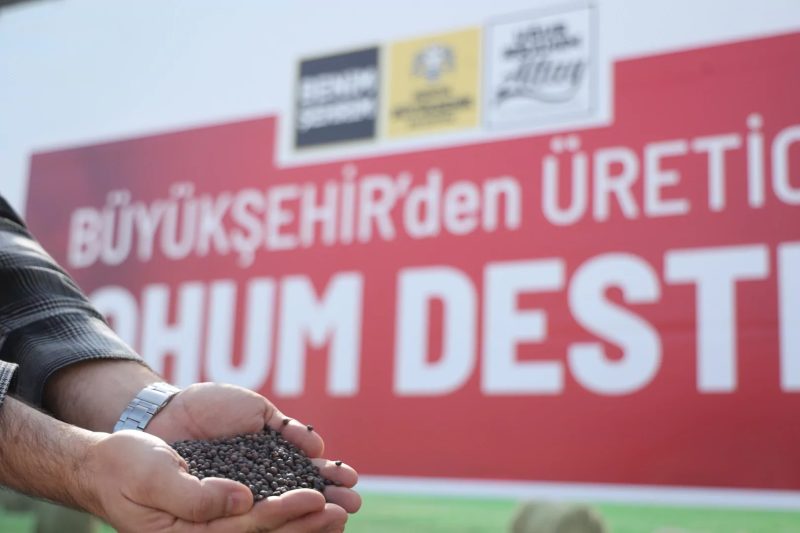 Konya'da Çiftçilere Yüzde 75 Hibeli Macar Fiği Desteğiyle Üretim Maliyetleri Düşüyor