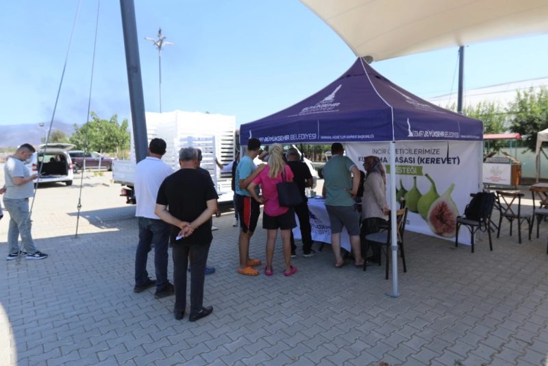 İzmir Büyükşehir Belediyesi, Efes Selçuk'taki İncir Üreticilerine Kurutma Kasası Desteği Sağladı
