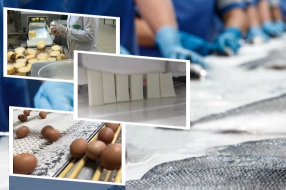IPARD-III ile Üreticilere ve Yatırımcılara 844,5 Milyon Lira Hibe Desteği Sağlandı