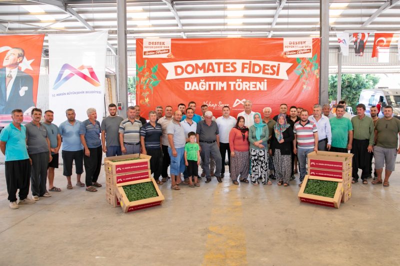 Mersin Büyükşehir Belediyesi, Erdemli'deki Domates Üreticilerine %70 Hibeli Fide Desteği Sağladı