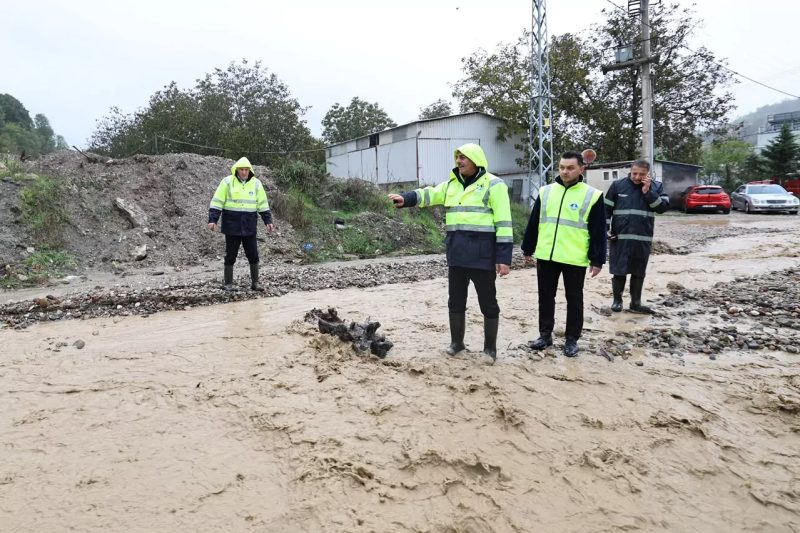 Sakarya'da Şiddetli Yağış: 120 Kişi ve 65 Hayvan Tahliye Edildi, Can Kaybı Yok