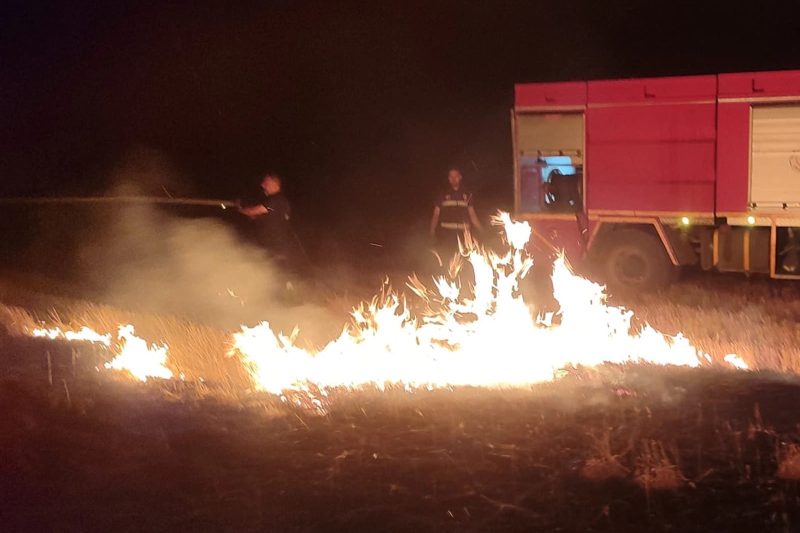 Van İtfaiyesi Son 10 Günde 239 Yangına Müdahale Etti