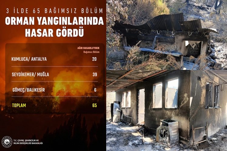Orman Yangınlarında Hasar Tespiti Tamamlandı: 65 Konut Ağır Hasarlı veya Yıkık
