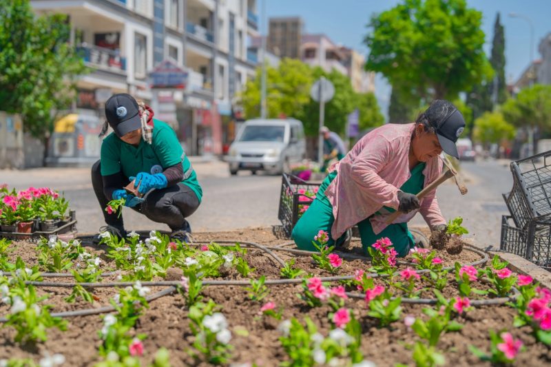 Milas'ta Yeşil Alanlar ve Parklar Yenileniyor
