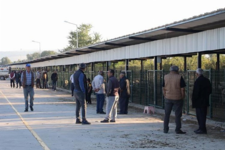 Bursa İnegöl’de hayvan pazarı geçici süreliğine kapalı