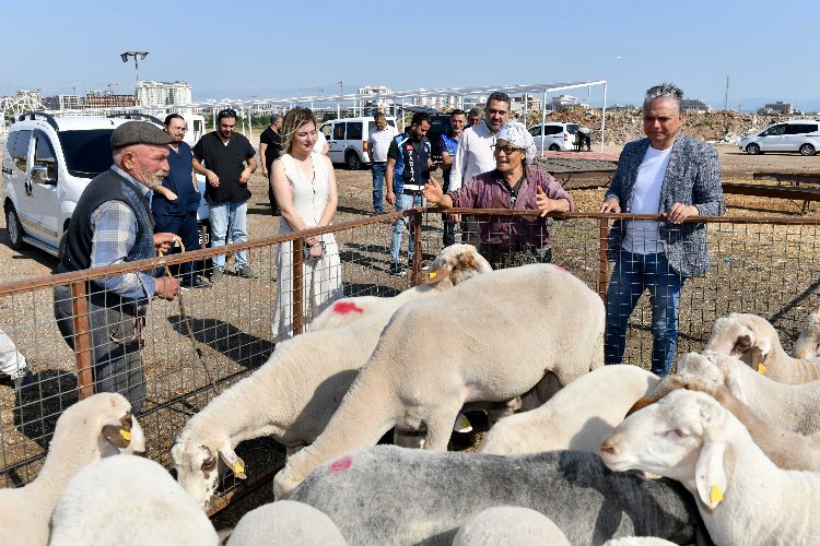 Antalya Muratpaşa’da kurbanlık hazırlıklar tamam