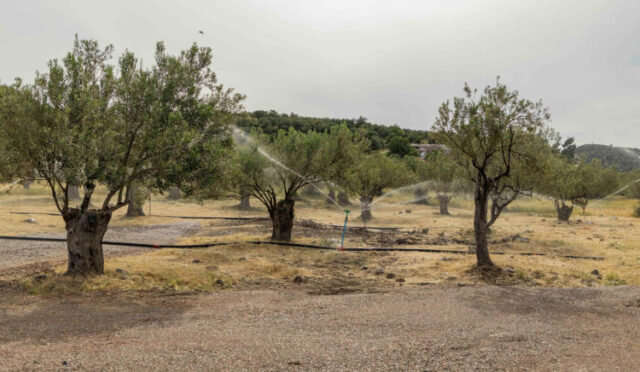 16-05-2025-199784a8-becb-43a0-921b-59e9fad346a3-1747385596-873-x750