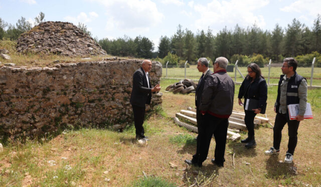 8463b649-1422-4c50-9b12-9f334db0d2fb-1746181548-934-x750