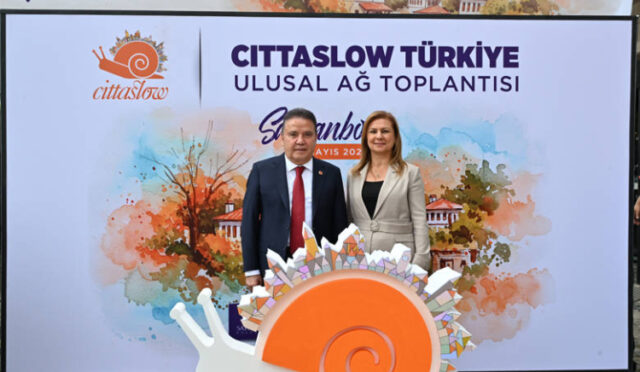 906bb3fe-39b6-4933-afea-2f88ee31a6c5-1747406734-556-x750