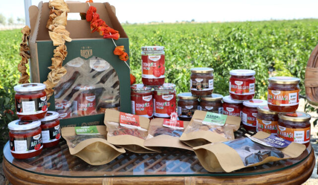 binlerce-yillik-ata-tohumlari-karatay-da-hayat-buluyor-3-1747147485-951-x750