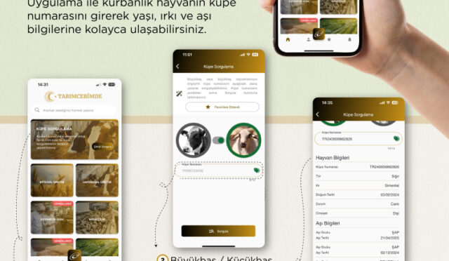 gr-ppkbwmaapm2o-1748510159-683-x750