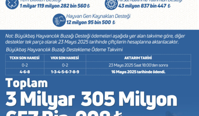 groj0qnwyaap3b4-1748012726-226-x750