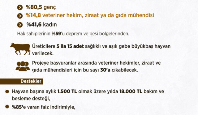 gsidw3fwwaal5je-1748532515-676-x750