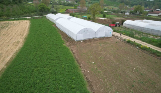 kocaelinde-tarim-buyuyor-seracilik-gelisiyor-1-1746428549-429-x750