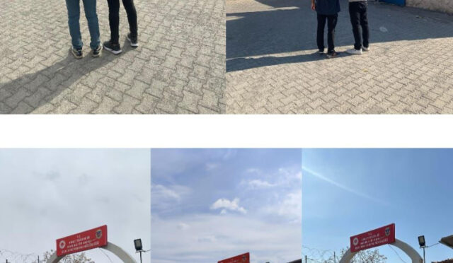 whatsapp-image-2025-05-12-at-15-08-09-1747053786-377-x750