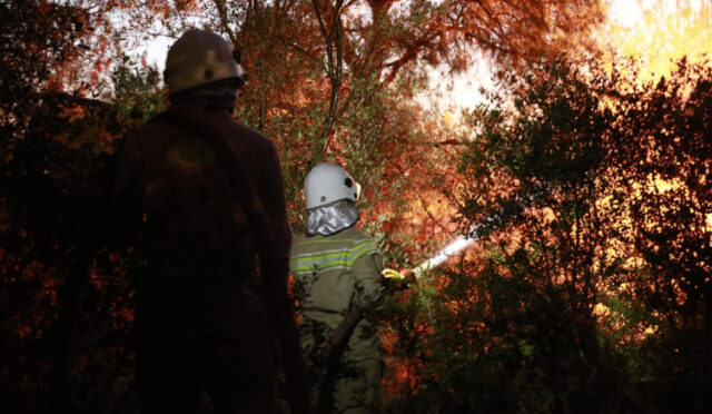 1750755564-ogm-yangin-foto-6-1750756911-123-x750