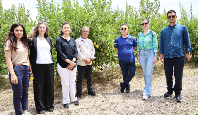 19eecbe3-ed25-43c1-b260-89b17eb1eada-1749562334-834-x750