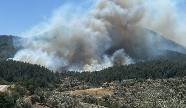 29-06-2025-d07208ce-df4b-4502-839c-f437c1750ca9-1751211503-67-x750