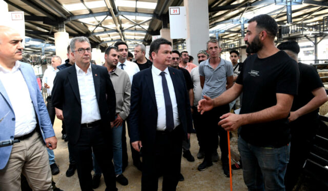 3-10-1748941865-301-x750