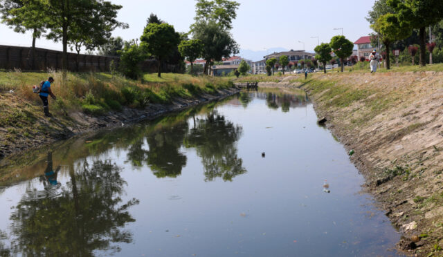 8-5-1748945789-615-x750