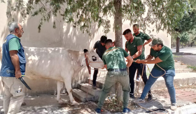 buyuksehir-belediyesi-kurban-bayrami-mesaisini-yogun-sekilde-tamamladi-1-1749566304-133-x750