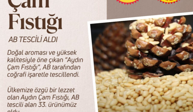 gsahppwwaaaixun-1748856507-688-x750