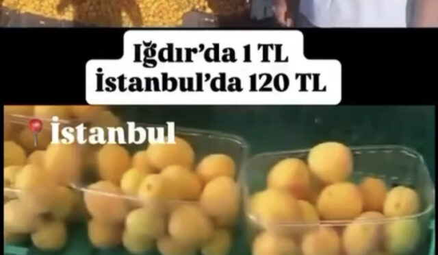 gusmtvxxgaaryki-1751297662-932-x750