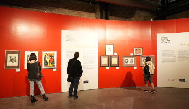 picasso-1750843486-381-x750