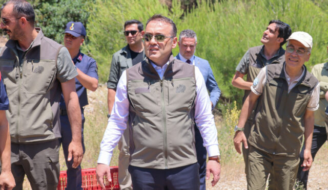 va3-1750752247-300-x750