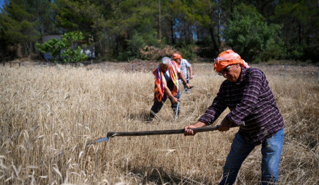 yzc-4034-1750746087-258-x750