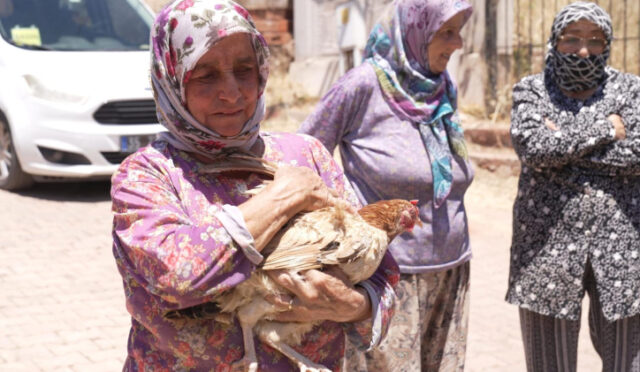 05-07-2025-13f7d801-aa57-45c4-910f-ba5551026a87-1751782240-527-x750